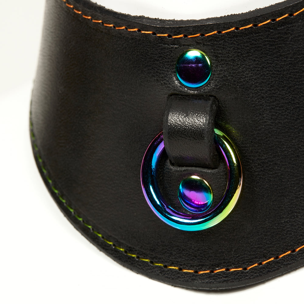 
                  
                    NAOMI COLLAR real close front view of black leather object with rainbow stitched edges, rainbow o-ring suspended from a strap tucked into collar, riveted with rainbow hardware
                  
                