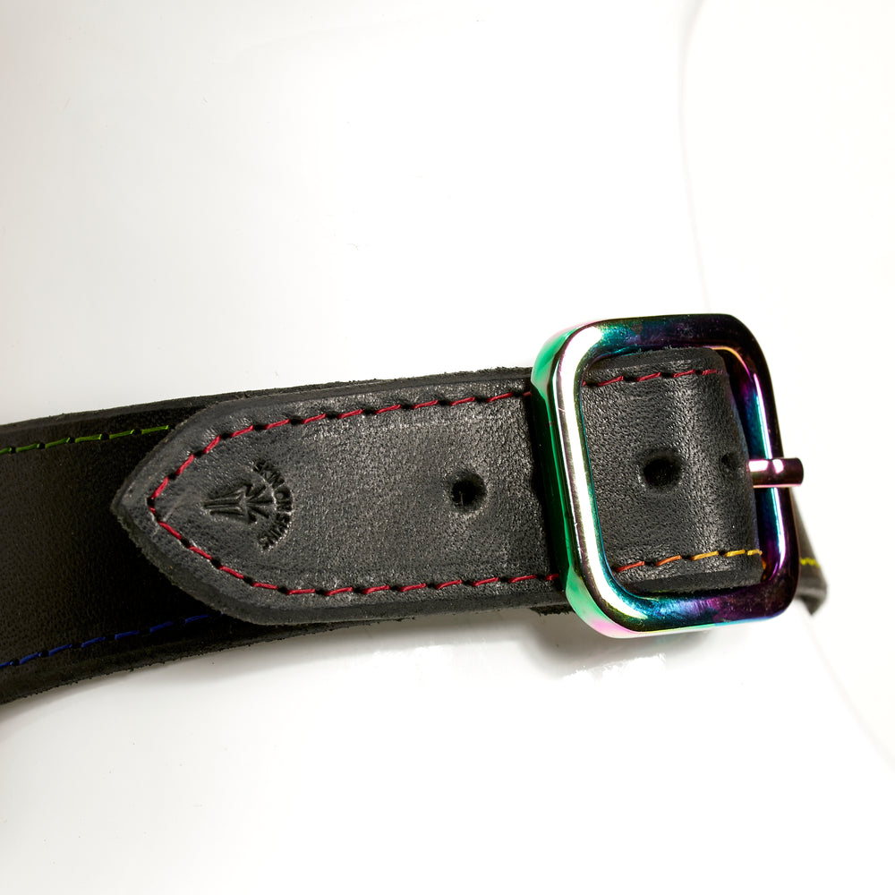 
                  
                    NAOMI COLLAR closeup 3/4 rear view of black leather strap with rainbow stitched edges and rainbow buckle hardware
                  
                