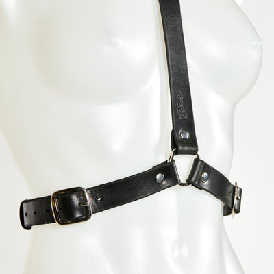 DALE HARNESS